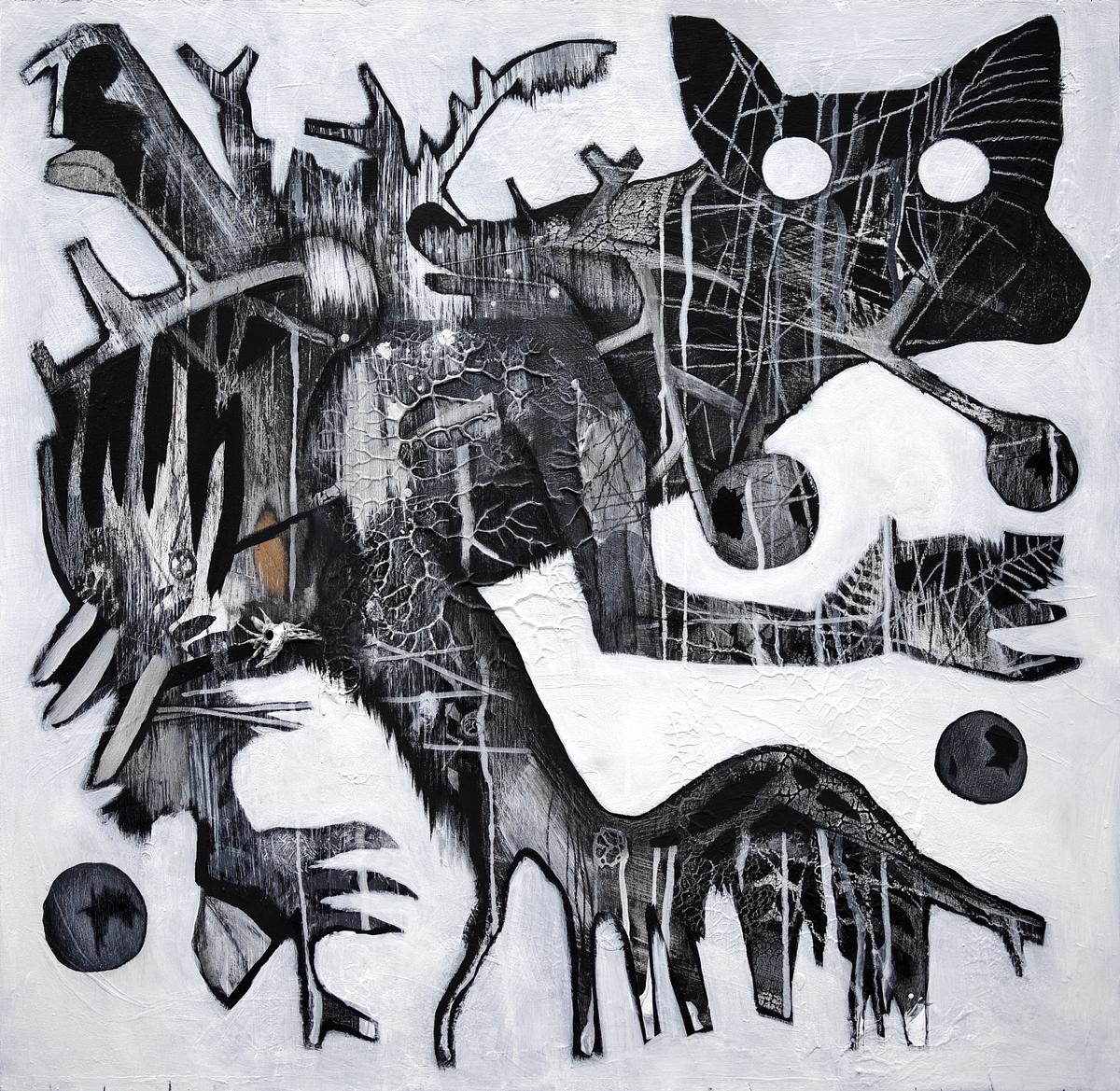searching for new eyes | the gall collector