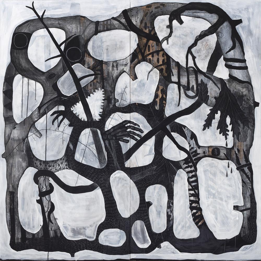 tracing shadows in a root cage