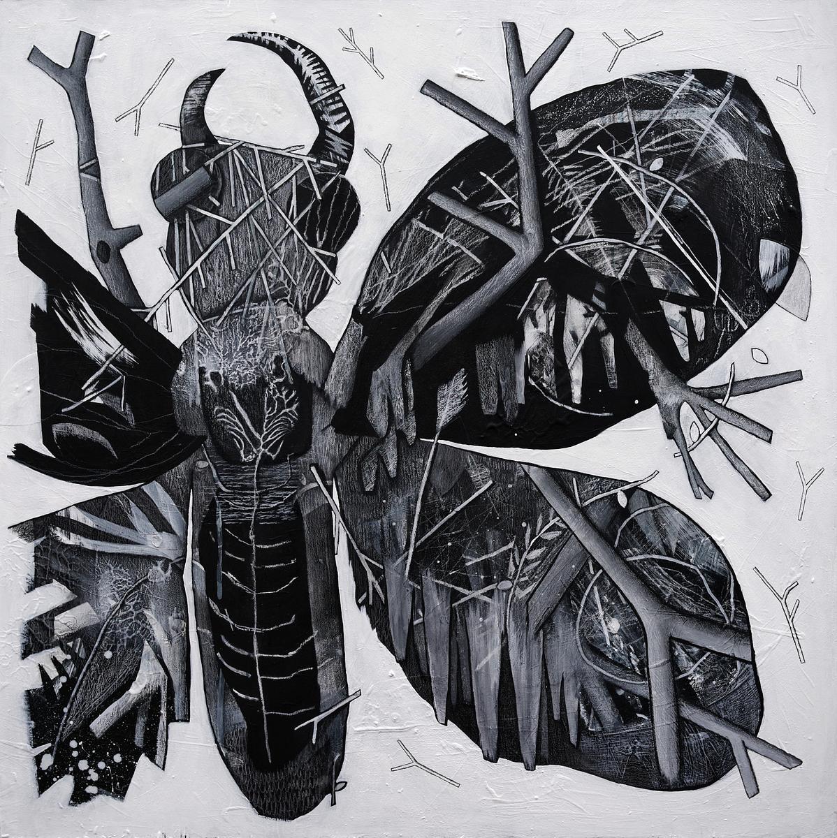 imaginary insect emerging incomplete imaginary insect emerging incomplete