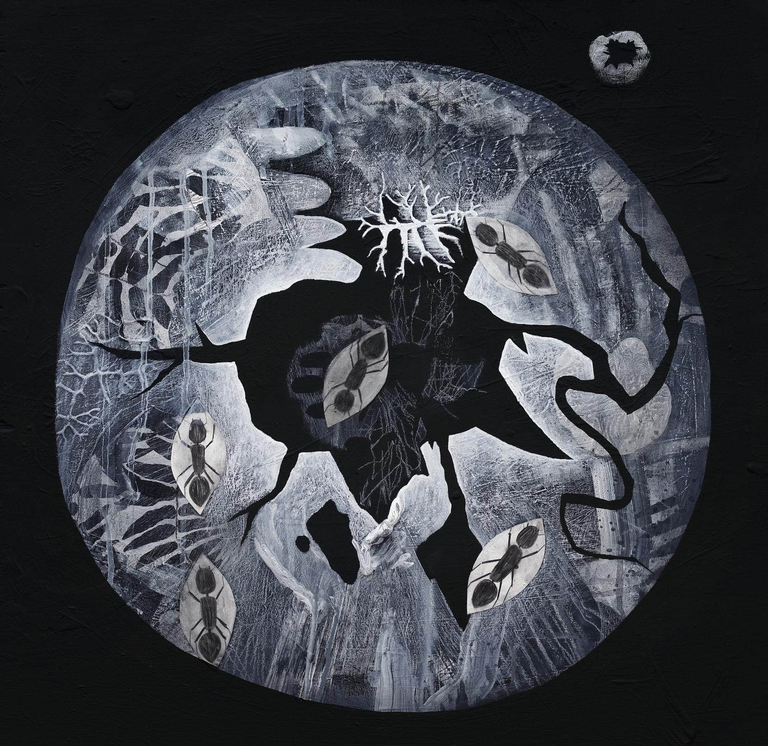 painting of a gall