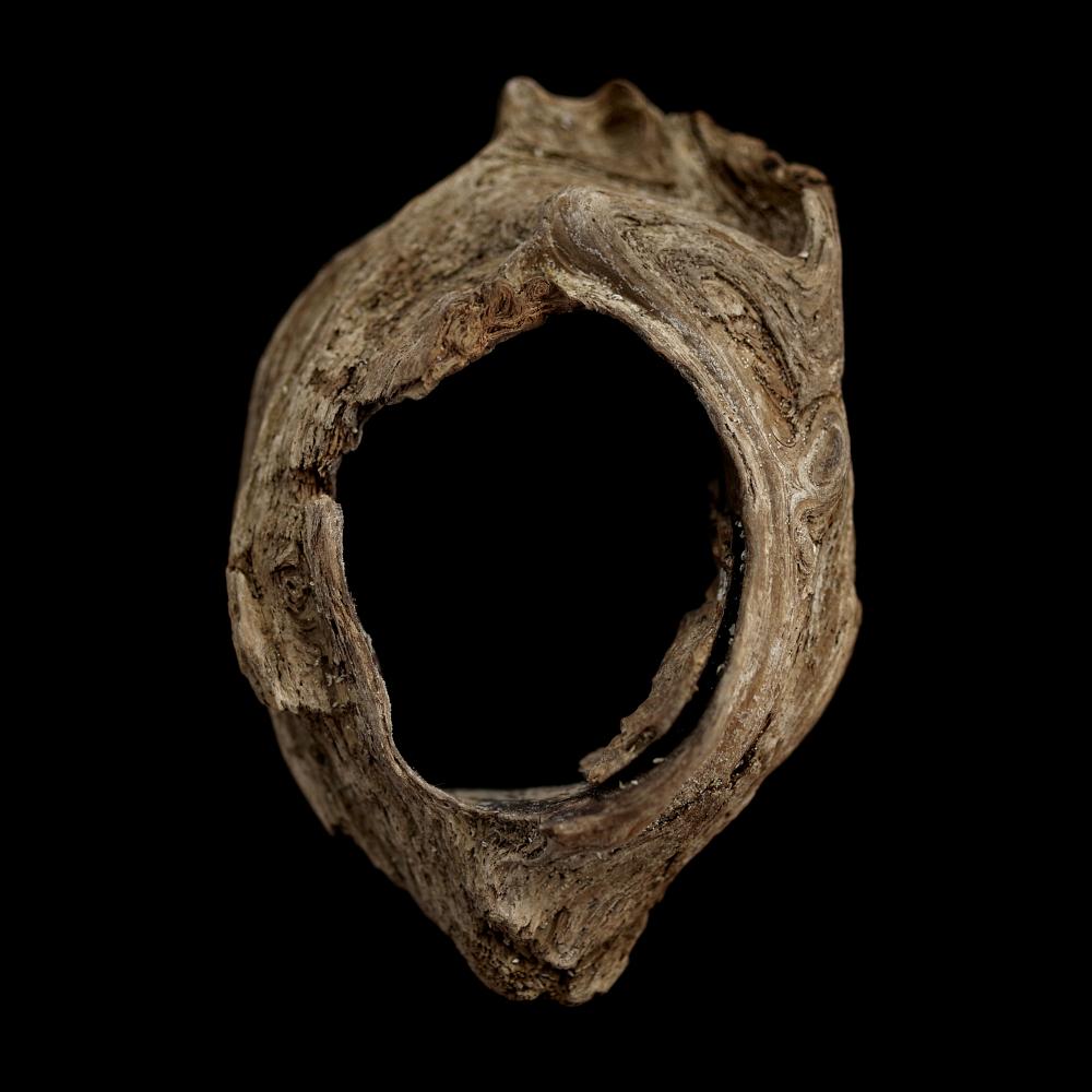 found driftwood #1