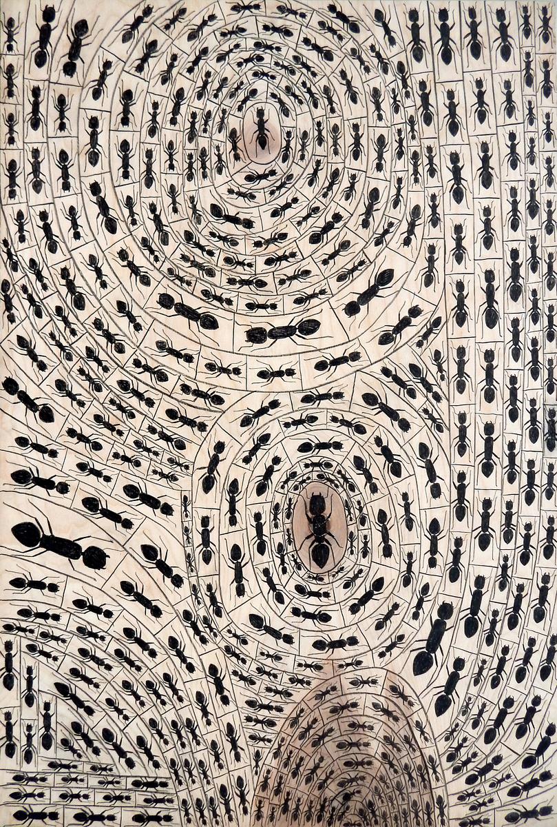 ant hill #2