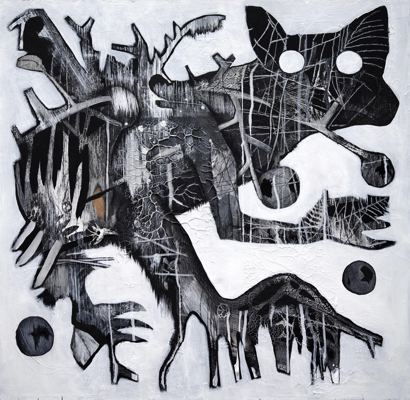 searching for new eyes | the gall collector